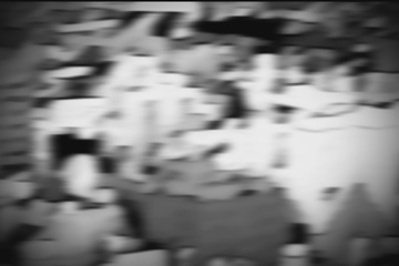 lerisia capture