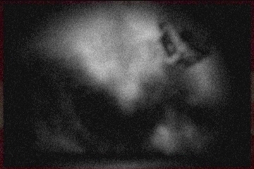 lerisia capture